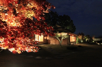 ライトに照らし出される庭園の紅葉と青山荘